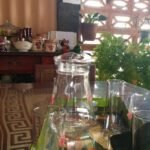 Casas Particulares cuba