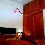 Casas Particulares en Cuba