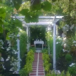 Casas Particulares en Cuba