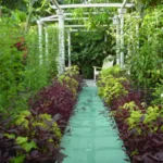 Casas Particulares en Cuba