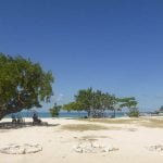 Casas Particulares en Cuba