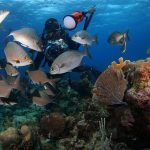 Casas Particulares en Cuba