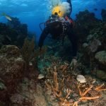 Casas Particulares en Cuba