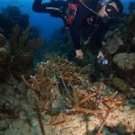 Casas Particulares en Cuba