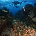 Casas Particulares en Cuba