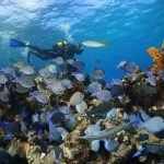 Casas Particulares en Cuba