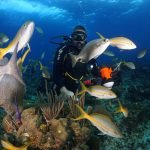 Casas Particulares en Cuba