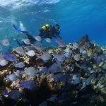 Casas Particulares en Cuba