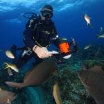 Casas Particulares en Carbonera