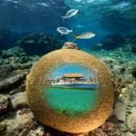 Casas Particulares en Cuba