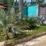 Casas Particulares en Cuba