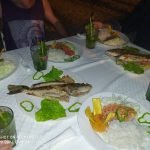 Casas Particulares en Cuba