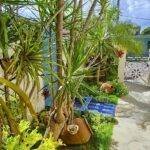 Casas particulares en cuba