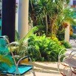 Casas particulares en cuba