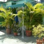 Casas Particulares en Cuba