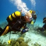 Casas Particulares cuba