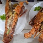 Casas Particulares cuba