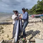 Casas Particulares en Cuba