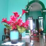 Casas Particulares en Cuba
