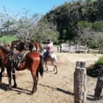 Excursion a caballo en Viñales