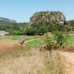 Excursion a caballo en Viñales
