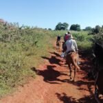 Excursion a caballo en Viñales