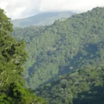 CASAS PARTICULARES EN CUBA