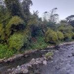 CASAS PARTICULARES EN CUBA