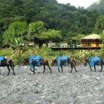CASAS PARTICULARES EN CUBA