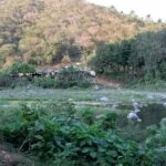 Casas particualres en cuba