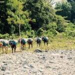 Casas Particulares en Cuba