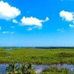 Casas Particulares en Cuba