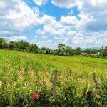 Casas Particulares en Cuba