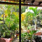 Casas Particulares en Cuba