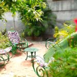 Casas Particulares en Cuba