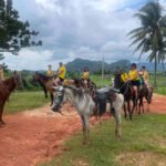 Casas Particulares en Viñales
