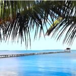 Casas Particulares Puerto Esperanza