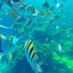 Casas Particulares en Cuba