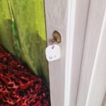 Casas Particulares en Cuba