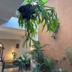 Casas Particulares en Cuba