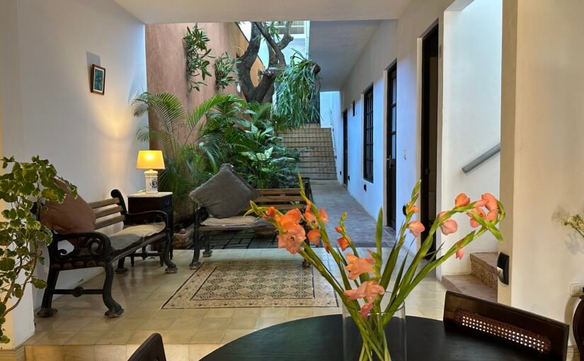 Boutique Jesus María 432