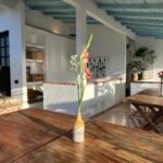 Casas Particulares en Cuba