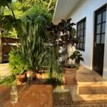 Casas Particulares en Cuba