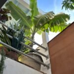 Casas Particulares en Cuba