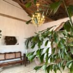 Casas Particulares en Cuba